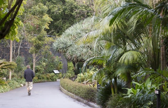 Adelaide Zoo reducing environmental footprint