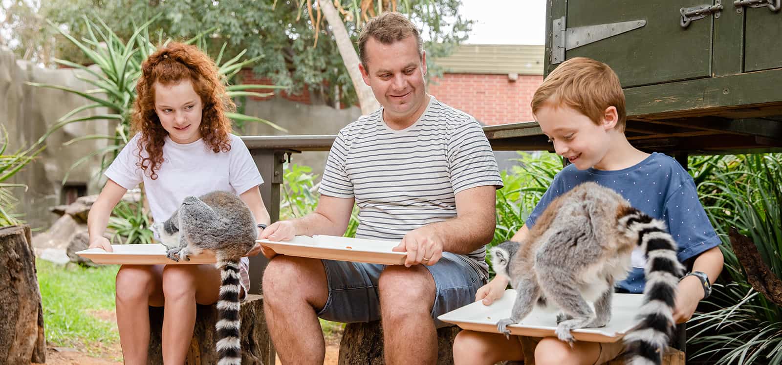 Family smiling as lemurs jump onto their laps during Lemur Encounter at Adelaide Zoo