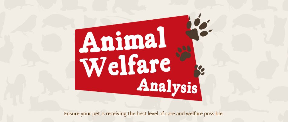 Animal welfare analysis