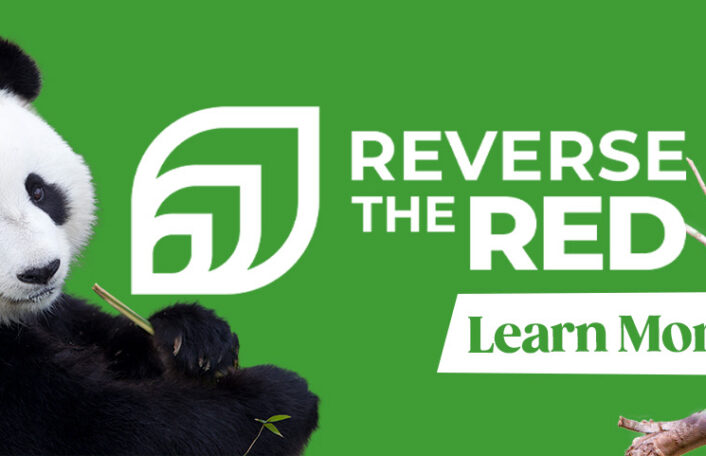 Image showing the 'Reverse the Red' logo surrounded by the silhouettes of a Giant Panda, a Warru, and an Orange bellied parrot.