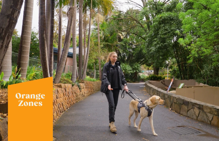 a guide dog at Adelaide Zoo with an overlay graphic titled Orange Zones