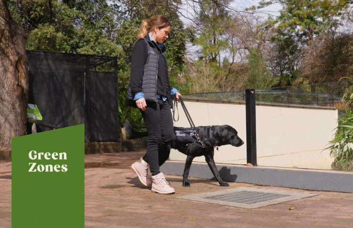 a guide dog at Adelaide Zoo with an overlay graphic titled Green Zones