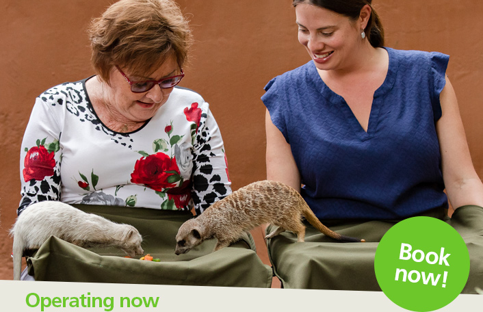 Animal Experiences Archive - Adelaide Zoo