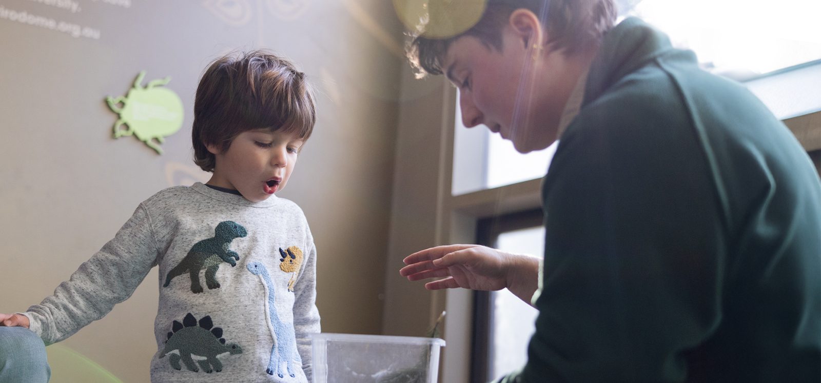Child interacting with keeper and small insects during the Mini Beats experience at Adelaide Zoo