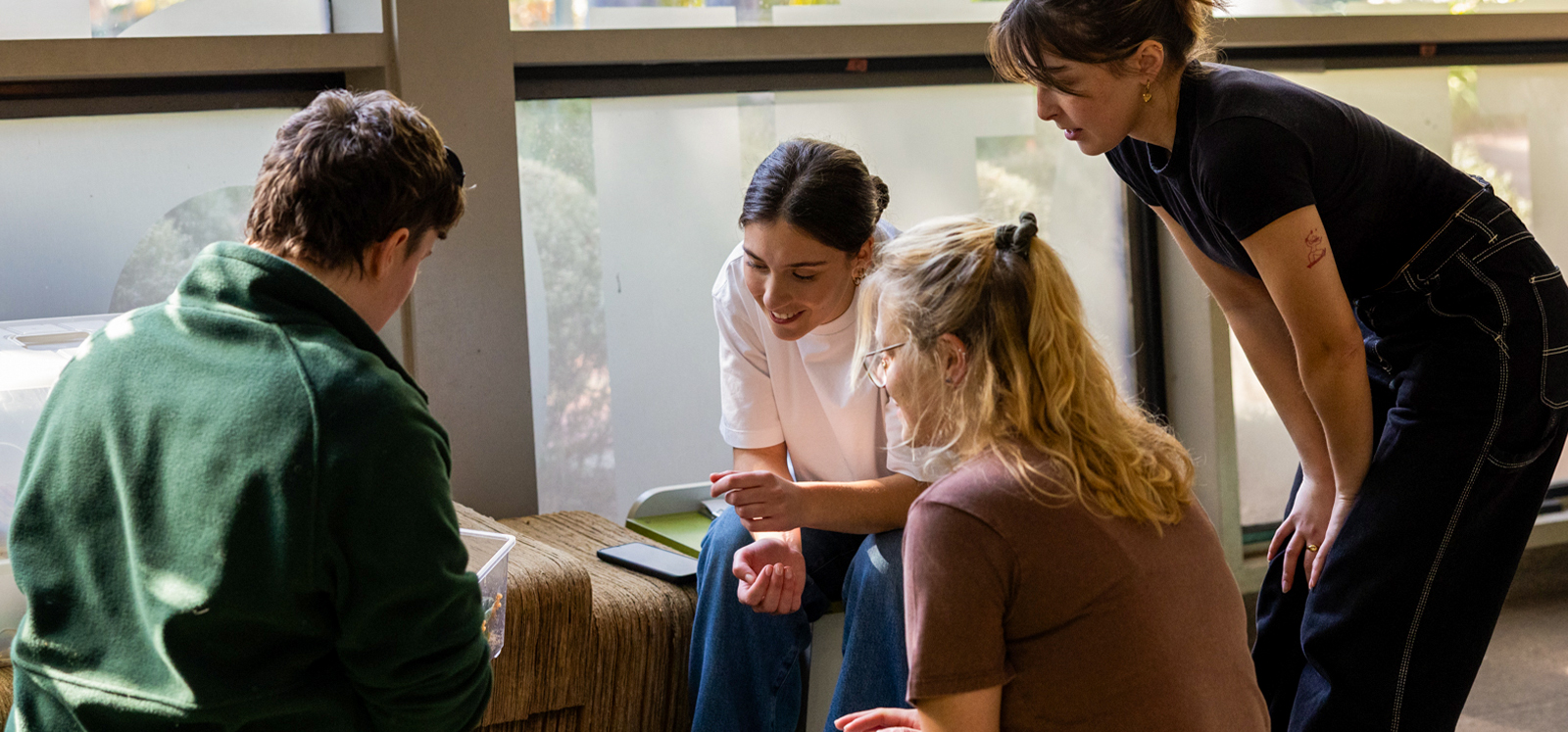Zoo keeper presenting insects to three women at Mini Beasts Animal Experience.