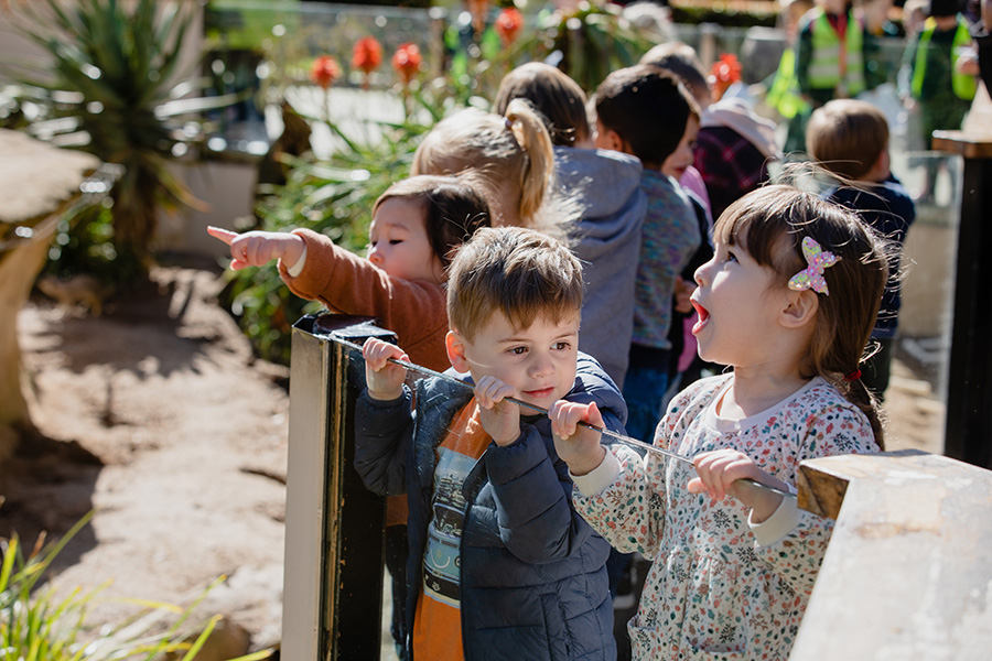 A group of young children hold onto the glass of a habitat looking out in front of them. The girl closest to the front looks up in a shocked expression.