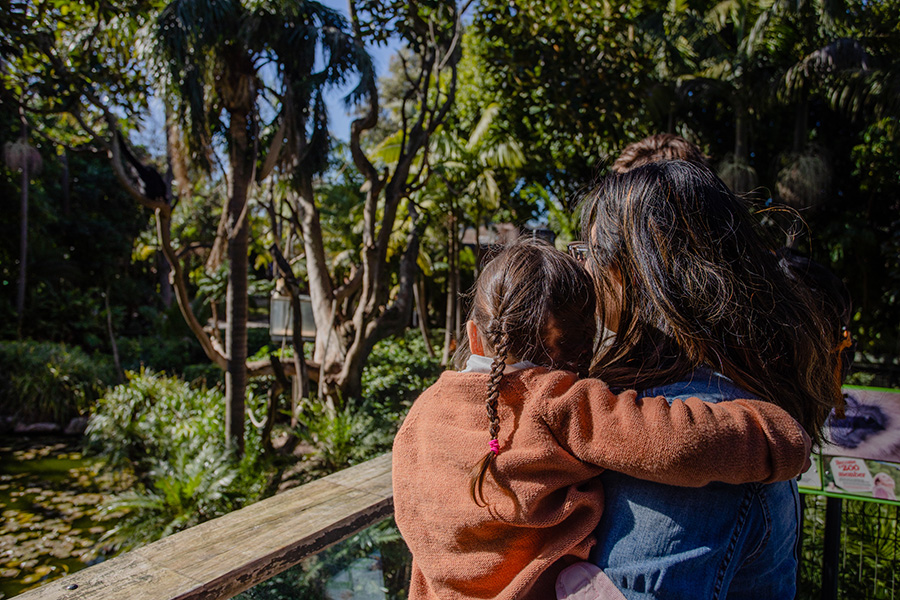 Image shows the backs of a woman's head holding her daughter in her arms as they look out at the leafy gibbon habitat at Adelaide Zoo from the timber boardwalk