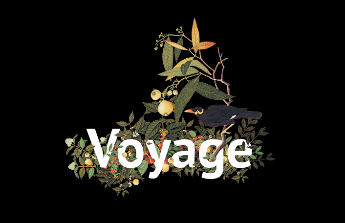 Black background with foliage graphics immersing text. Text reads 'Voyage'.