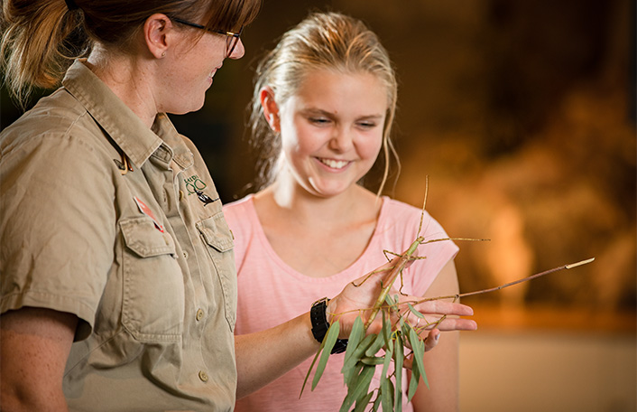 Adelaide Zoo keeper holds branch with a stick insect climbing it as a young girl smiles looking at it